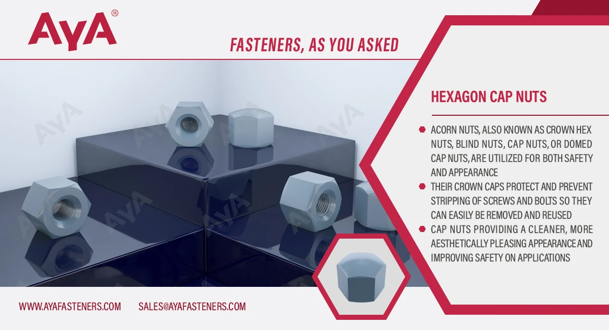 Hexagon Cap Nuts advantage Hexagon Cap Nuts advantage